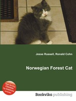 Norwegian Forest Cat