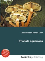 Pholiota squarrosa