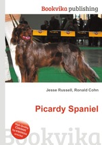 Picardy Spaniel