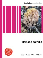 Ramaria botrytis