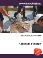 Roughtail stingray