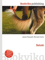 Saluki