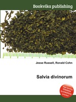 Salvia divinorum