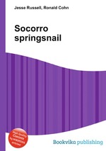 Socorro springsnail