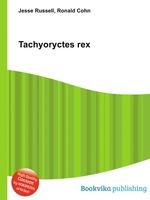 Tachyoryctes rex