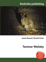 Tammar Wallaby