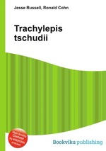 Trachylepis tschudii