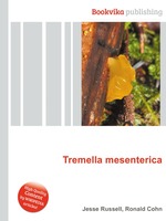 Tremella mesenterica