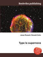 Type Ia supernova