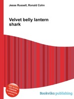 Velvet belly lantern shark