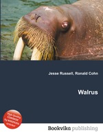 Walrus