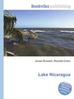 Lake Nicaragua