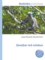 Zanzibar red colobus