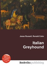 Italian Greyhound