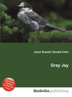 Gray Jay