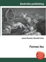 Fennec fox