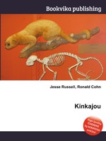 Kinkajou