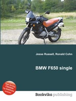 BMW F650 single