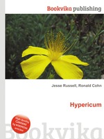 Hypericum