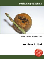 Andricus kollari