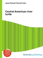 Central American river turtle