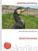 Great Cormorant