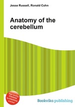 Anatomy of the cerebellum