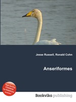 Anseriformes