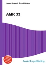 AMR 33