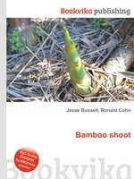 Bamboo shoot