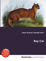 Bay Cat