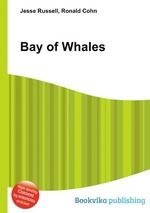 Bay of Whales