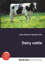 Dairy cattle