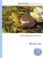 Moray eel