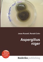 Aspergillus niger