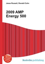 2009 AMP Energy 500