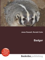 Badger