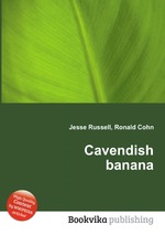 Cavendish banana