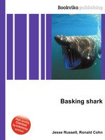 Basking shark