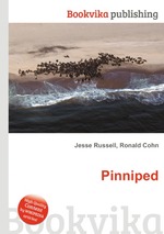 Pinniped