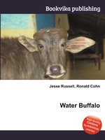 Water Buffalo