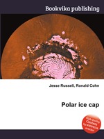 Polar ice cap