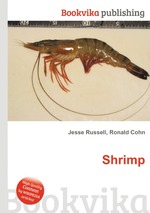 Shrimp