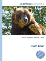 Sloth bear