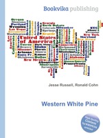 Western White Pine