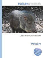 Peccary