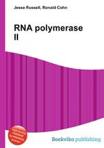 RNA polymerase II