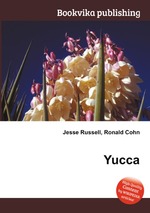 Yucca