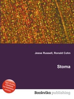 Stoma