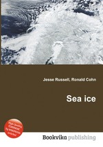 Sea ice